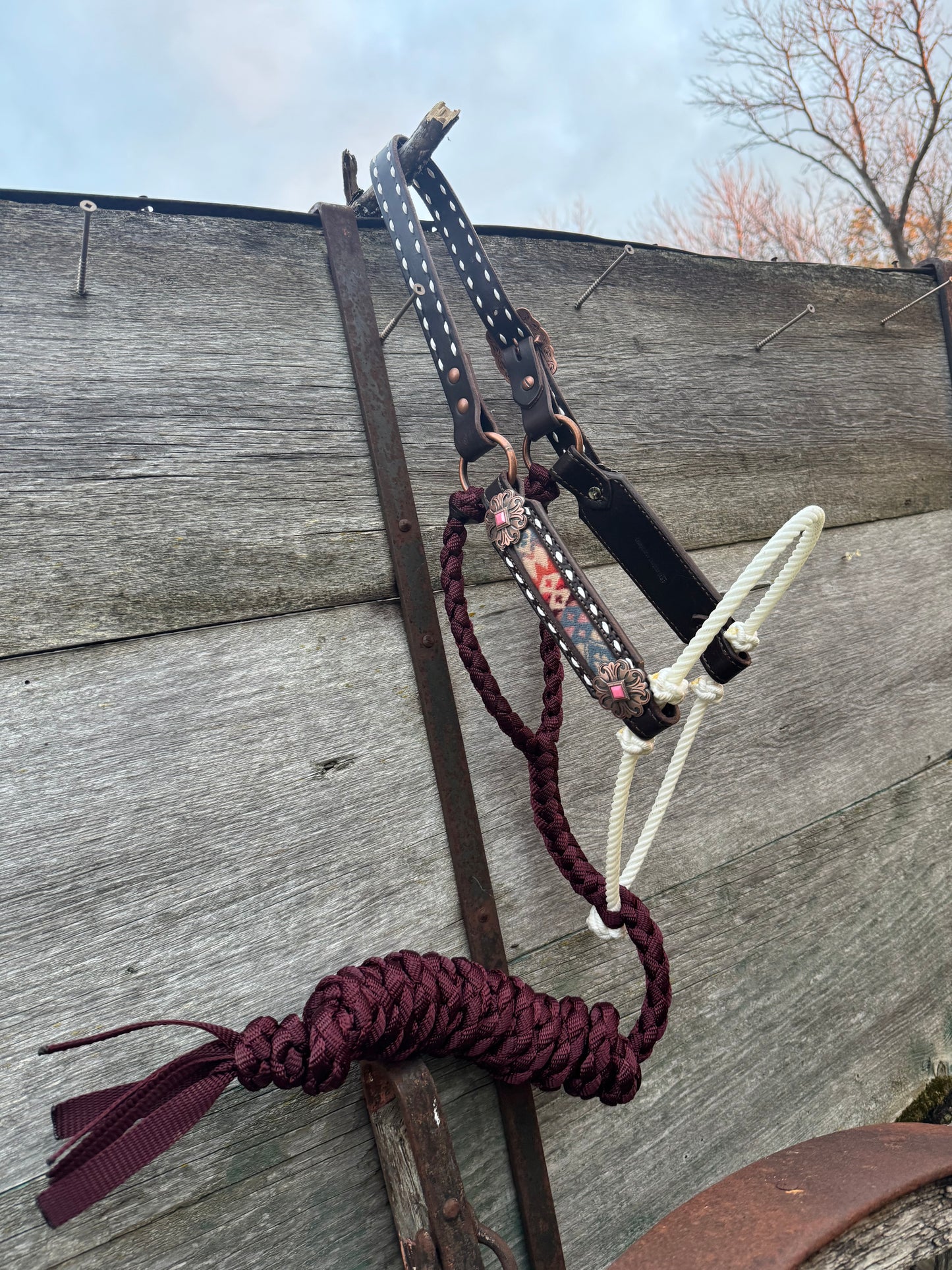 Pendleton Hybrid Halter