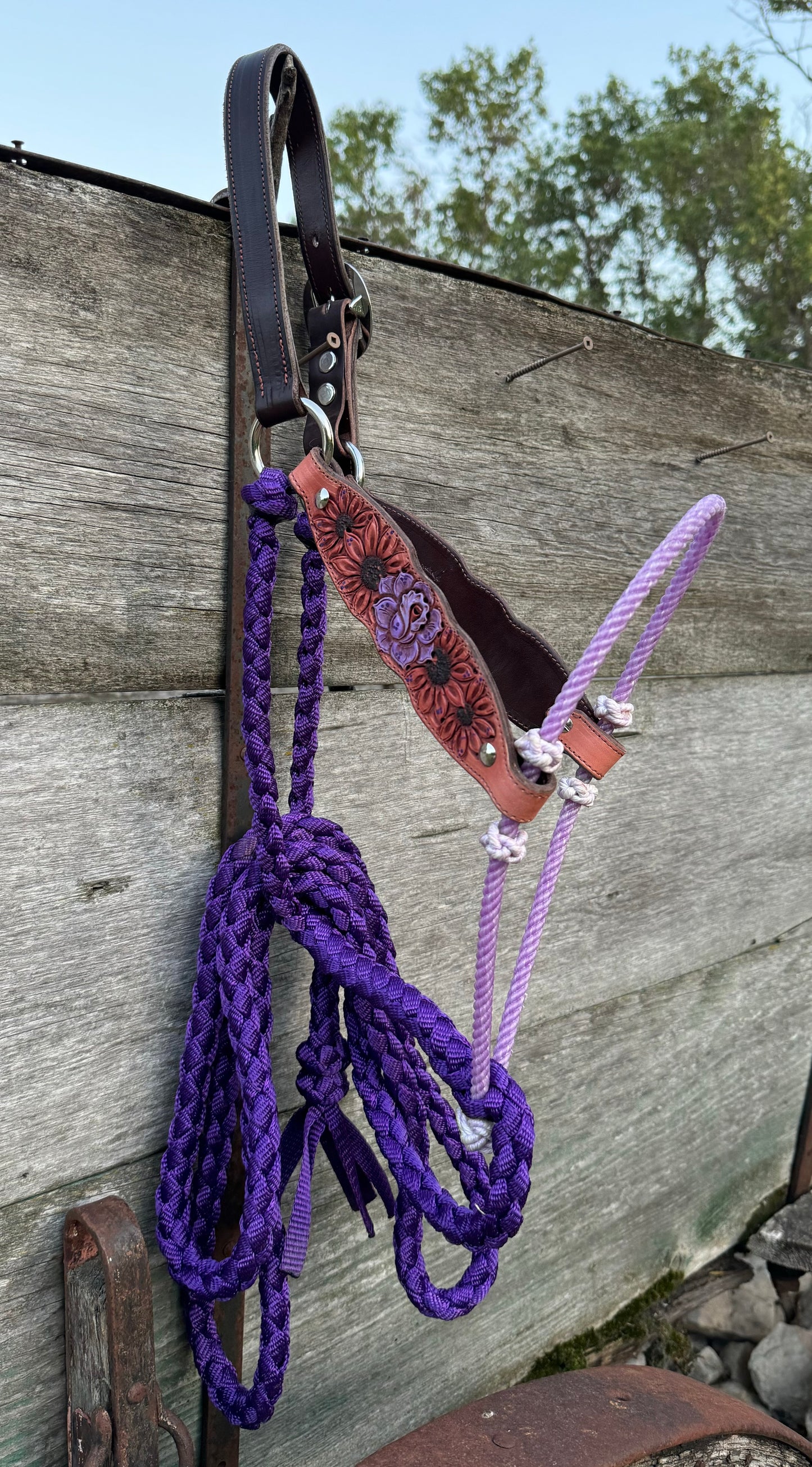 Purple Rose Hybrid Halter