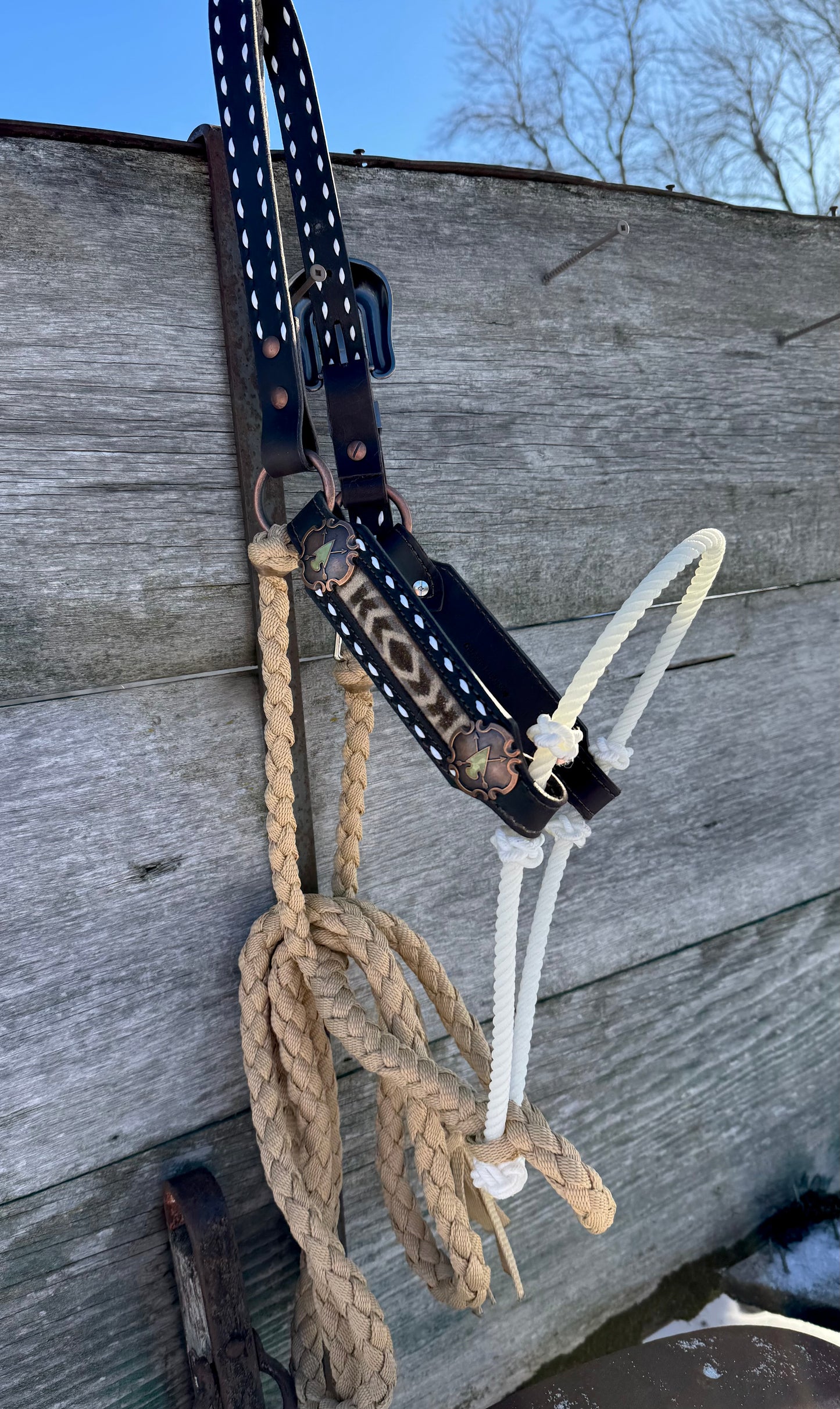 Pendleton Hybrid Halter