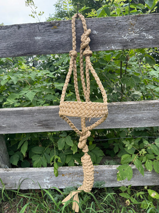 Gold Muletape Halter