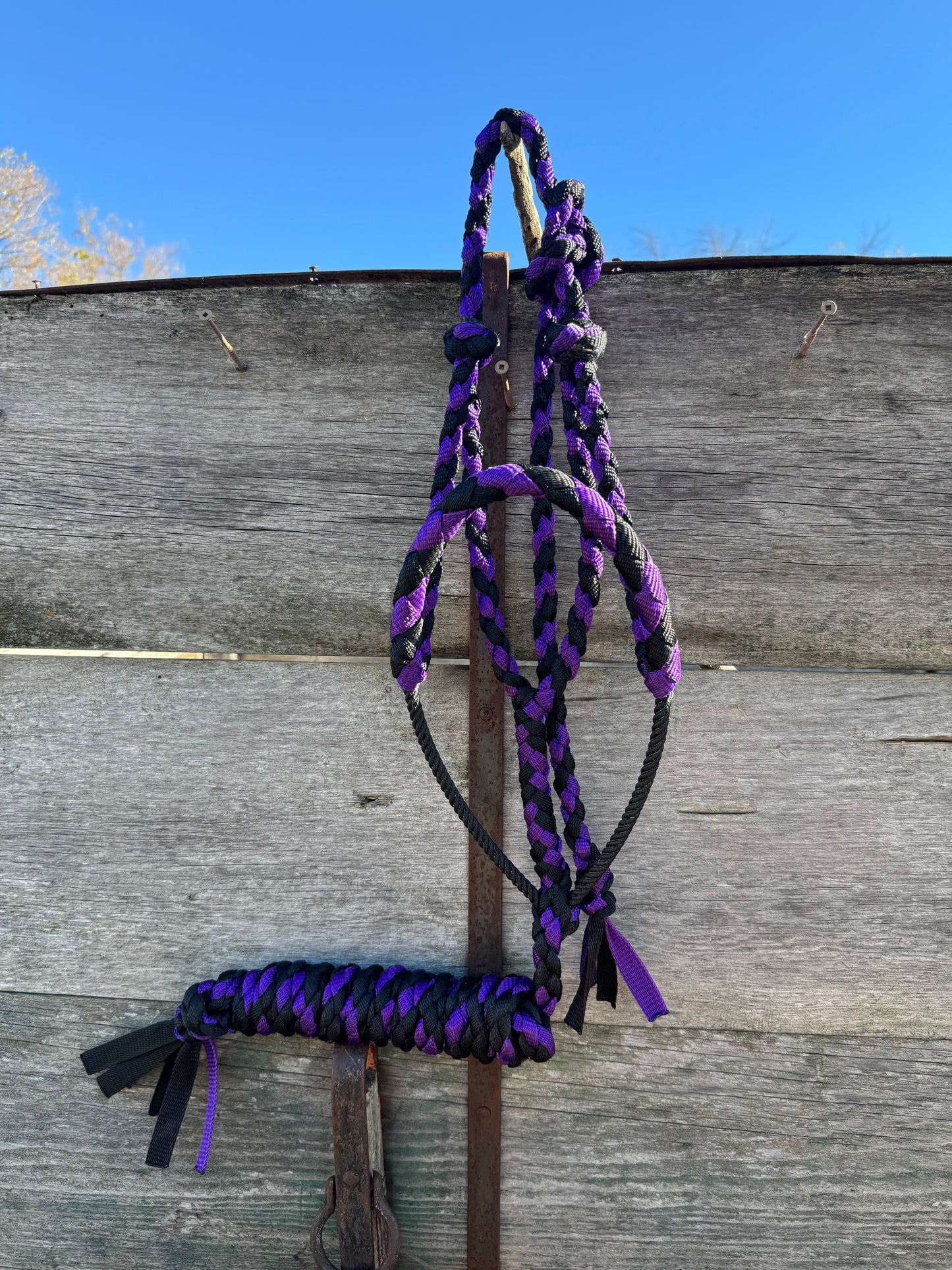 Purple & Black Lariat Halter