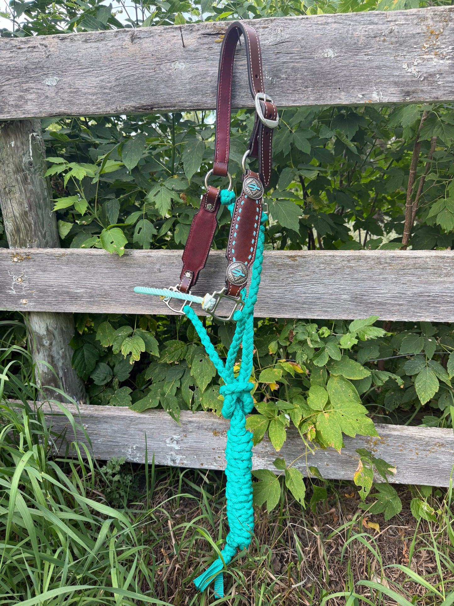 The "Signature" Cactus Halter