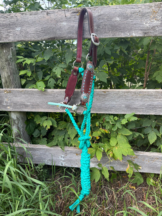 The "Signature" Cactus Halter