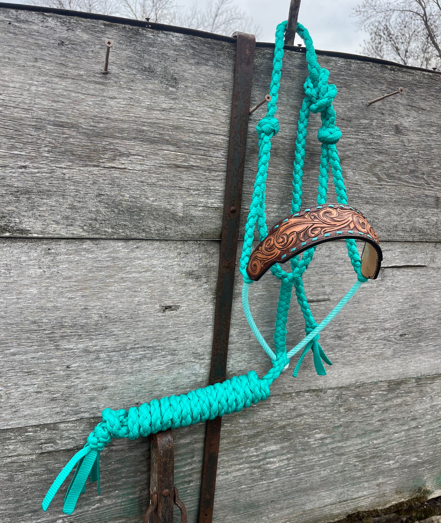 Feather Tooled Halter