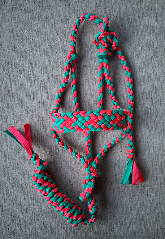 Pink/Turquoise Muletape Halter