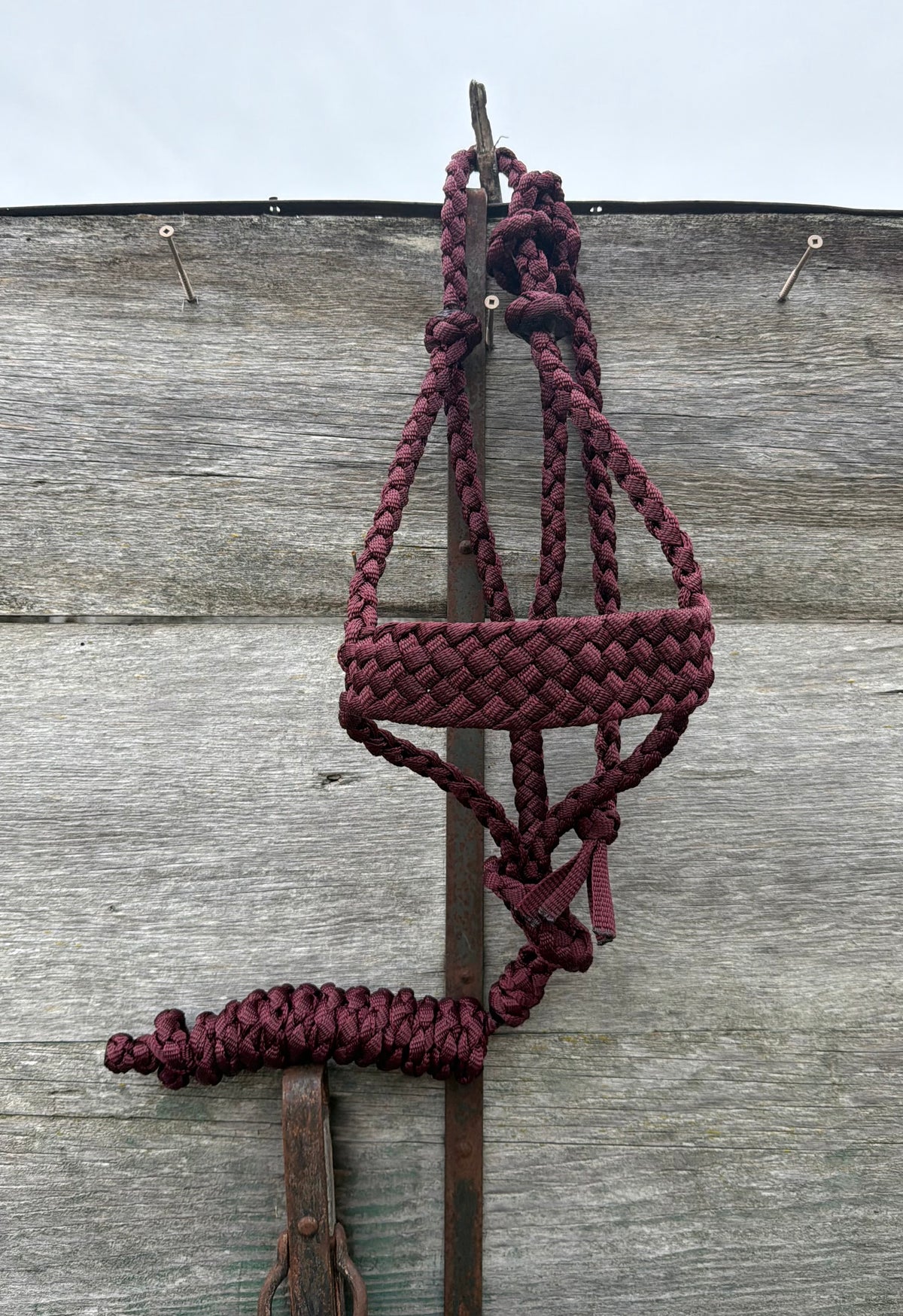 Burgundy Halter