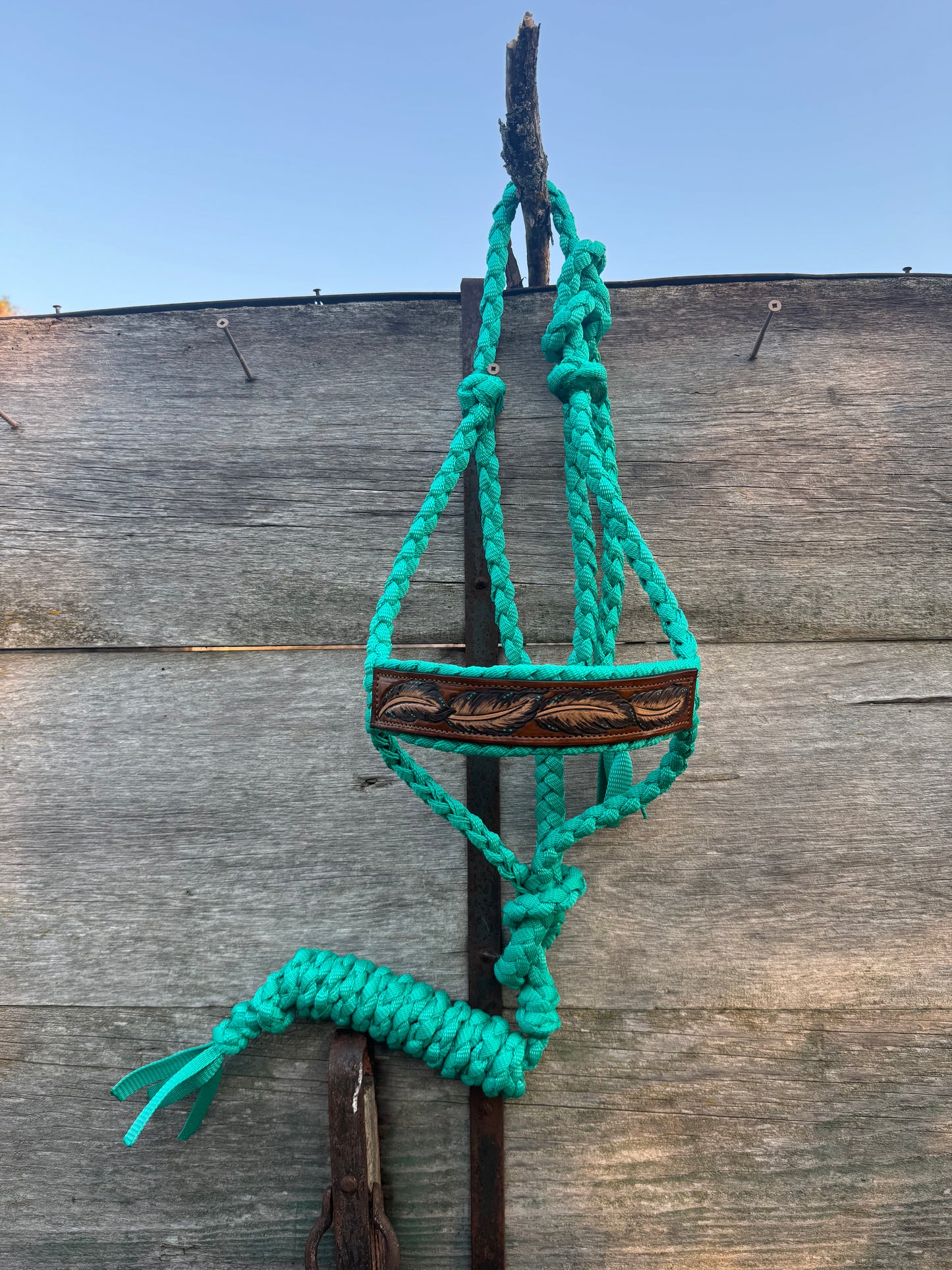 Turqouise Feather Halter