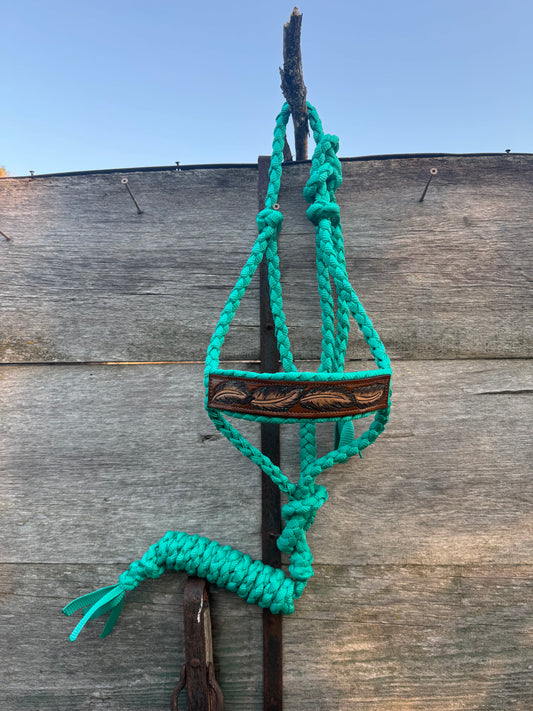 Turqouise Feather Halter