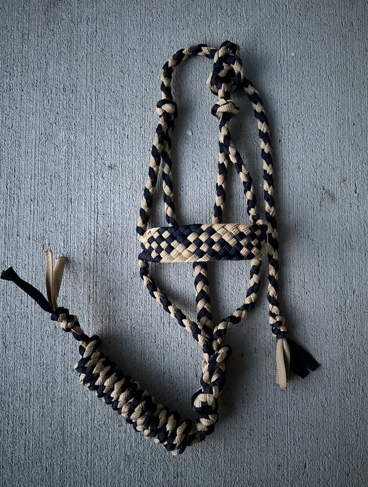 Navy/Gold Muletape Halter