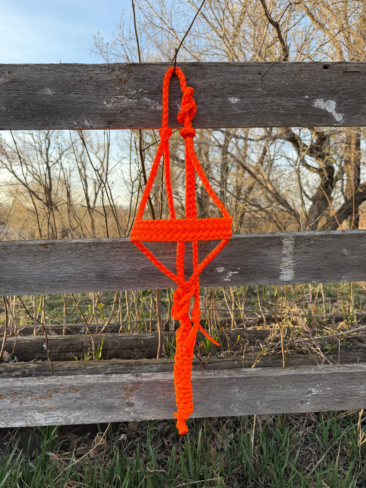 Orange Muletape Halter