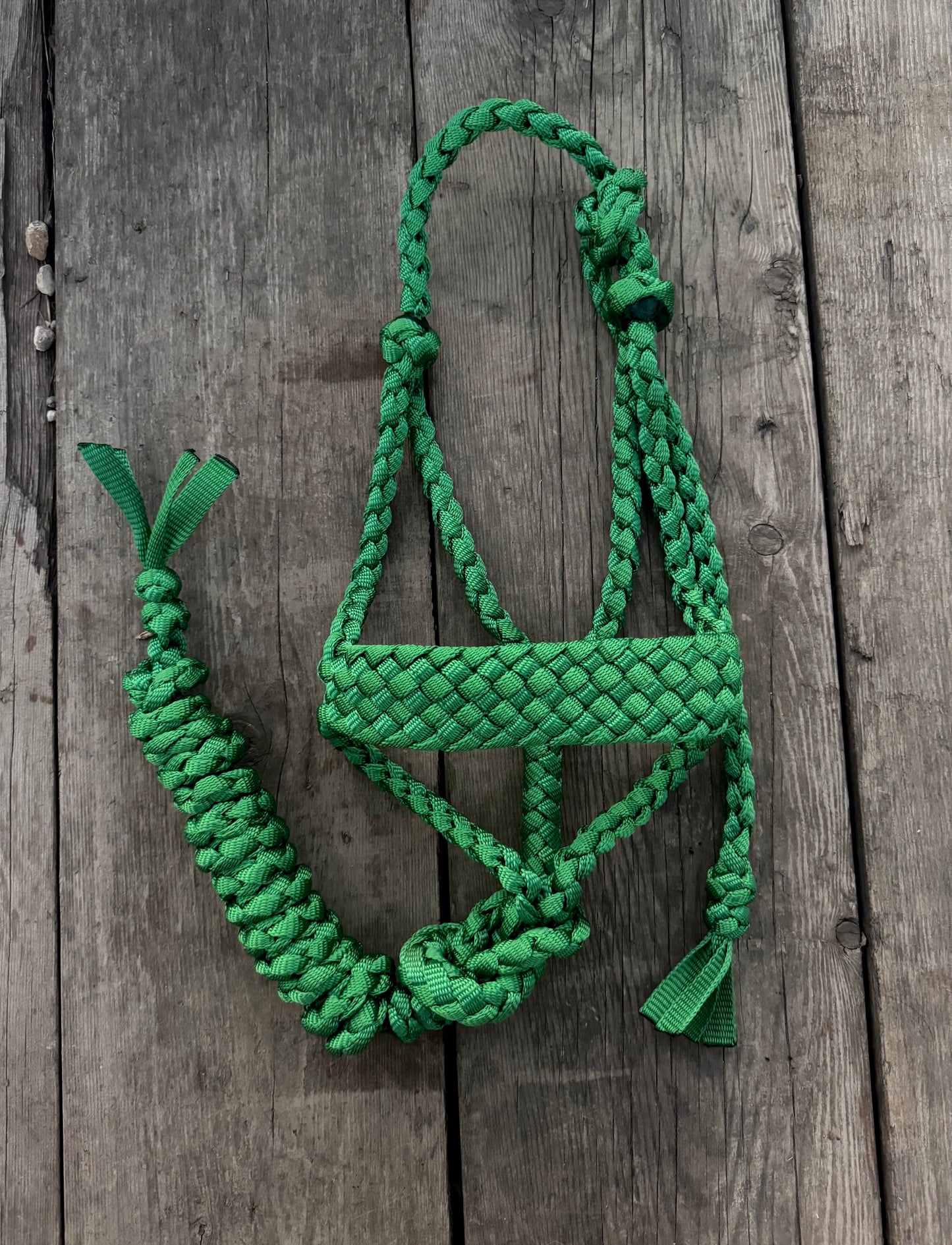 Green Muletape Halter
