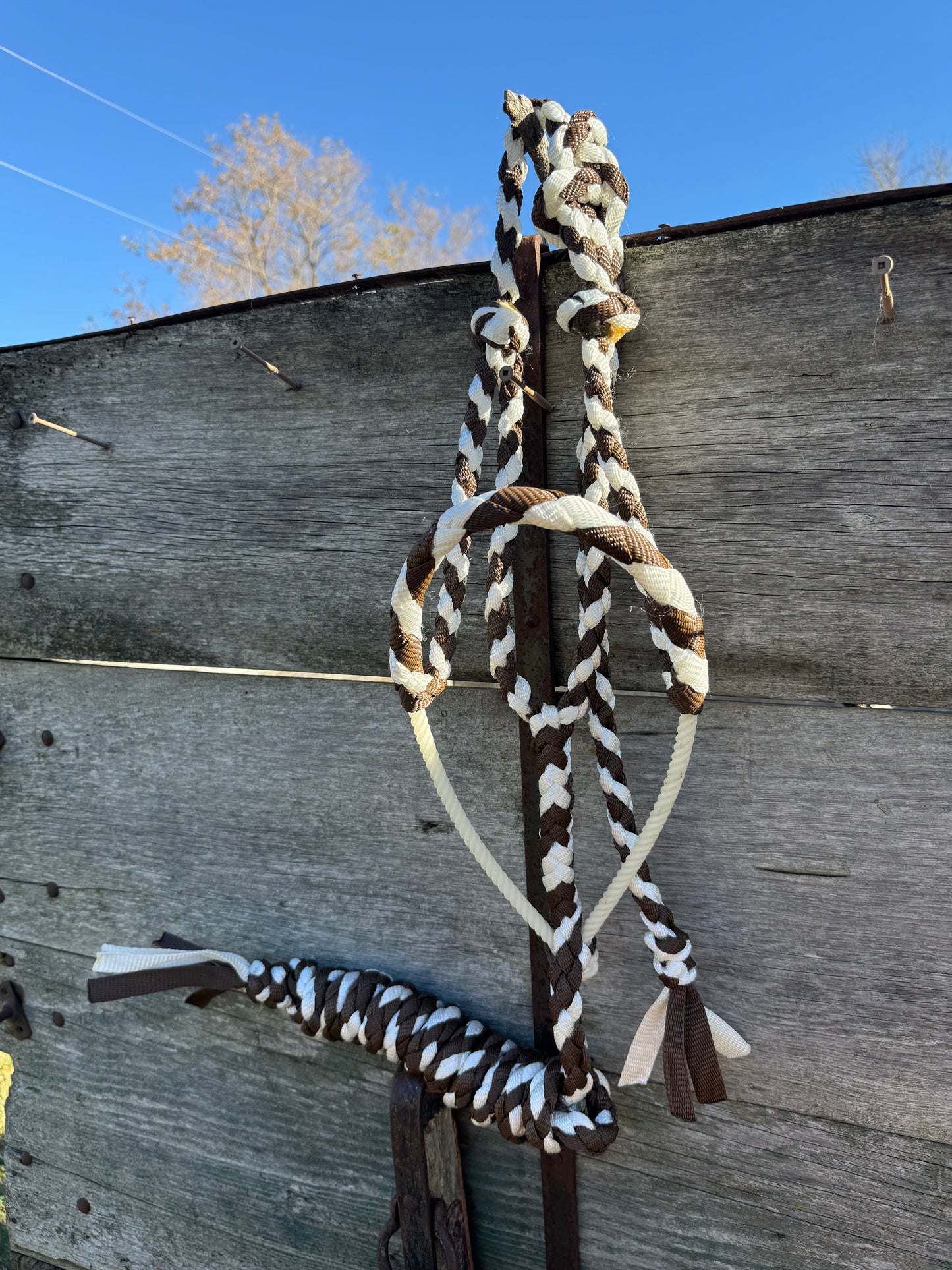 Brown/White Lariat Halter