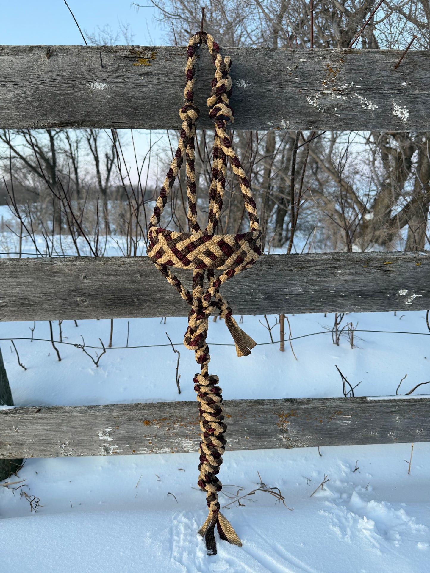 Gold, Burgundy & Brown Muletape Halter