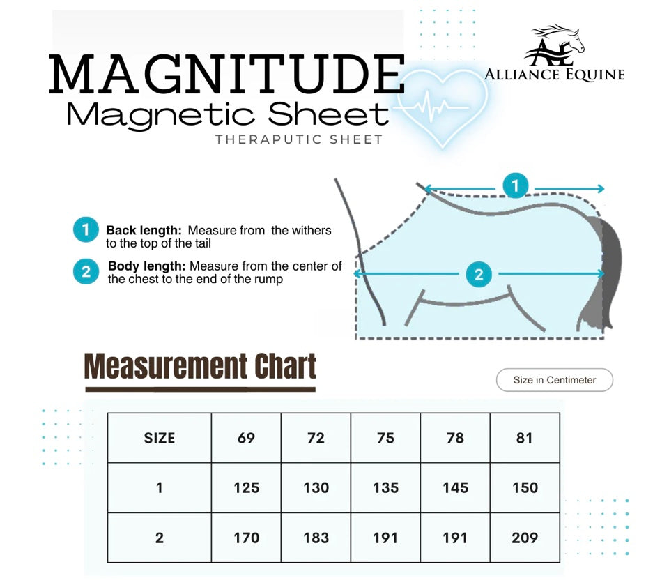 Magnitude Magnetic Sheet